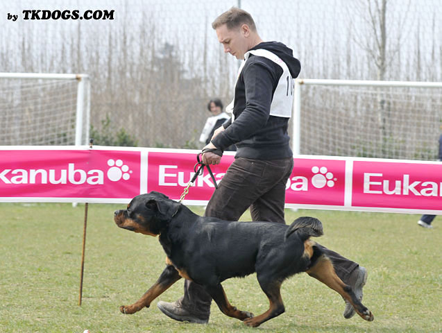 Astor von Junipera Astor von Junipera