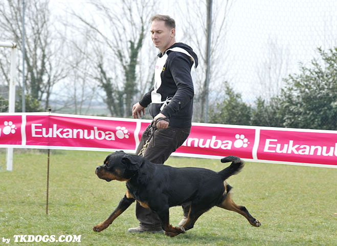 Astor von Junipera Astor von Junipera