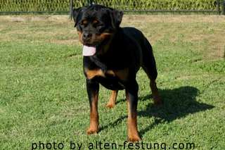 Bessy Wonderful Wizard Bessy Wonderful Wizard