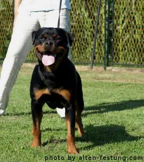 Bessy Wonderful Wizard Bessy Wonderful Wizard