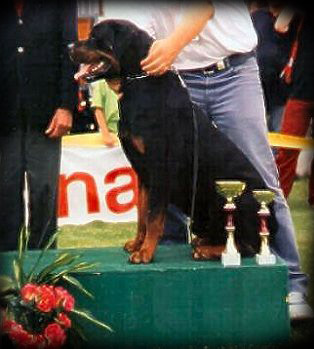 In Memory Graf von der Alten Festung In Memory Graf von der Alten Festung