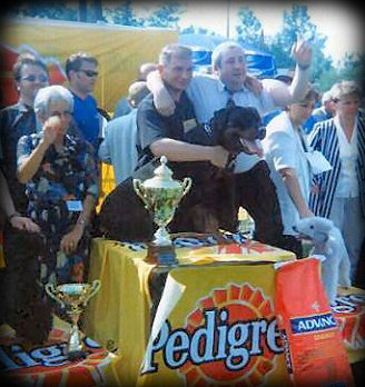 In Memory Graf von der Alten Festung In Memory Graf von der Alten Festung