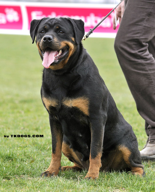 Jule v.d. Berghalbinsel Jule v.d. Berghalbinsel