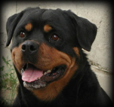 Rott Berger Lena Rott Berger Lena