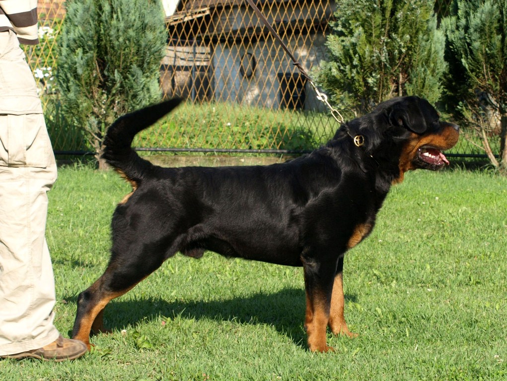 Nelson von der Alten Festung Nelson von der Alten Festung