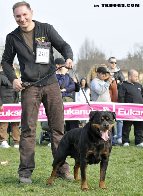 Olivia Ti En Men Olivia Ti En Men