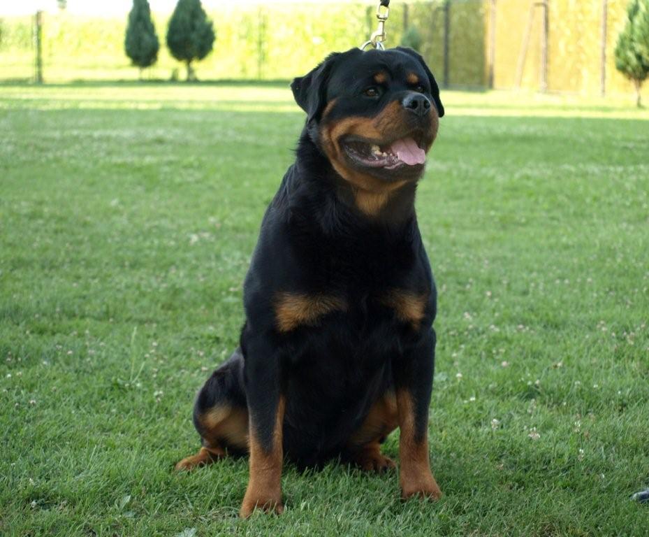 Nelson von der Alten Festung Nelson von der Alten Festung