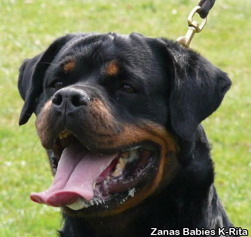 Zanas Babies K-Rita Zanas Babies K-Rita