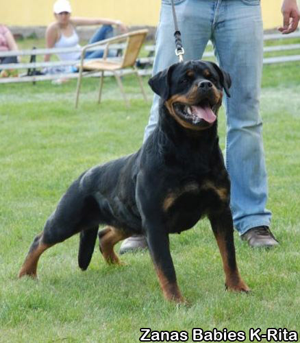 Zanas Babies K-Rita Zanas Babies K-Rita