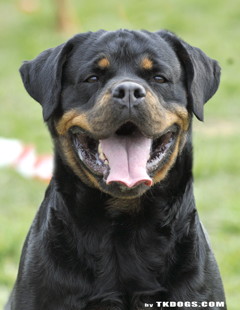 Zanas Babies K-Rita Zanas Babies K-Rita