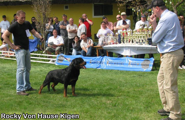 Rocky Von Hause Kigen Rocky Von Hause Kigen