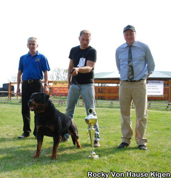 Rocky Von Hause Kigen Rocky Von Hause Kigen