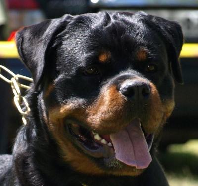 Ch.J. Santo von der Alten Festung Ch.J. Santo von der Alten Festung