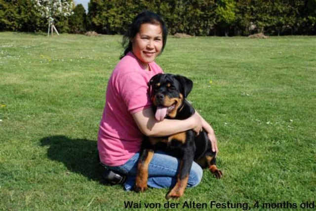 Wai von der Alten Festung Wai von der Alten Festung