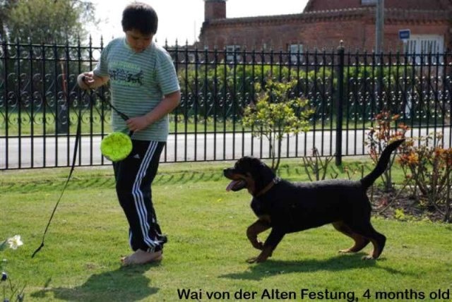 Wai von der Alten Festung Wai von der Alten Festung