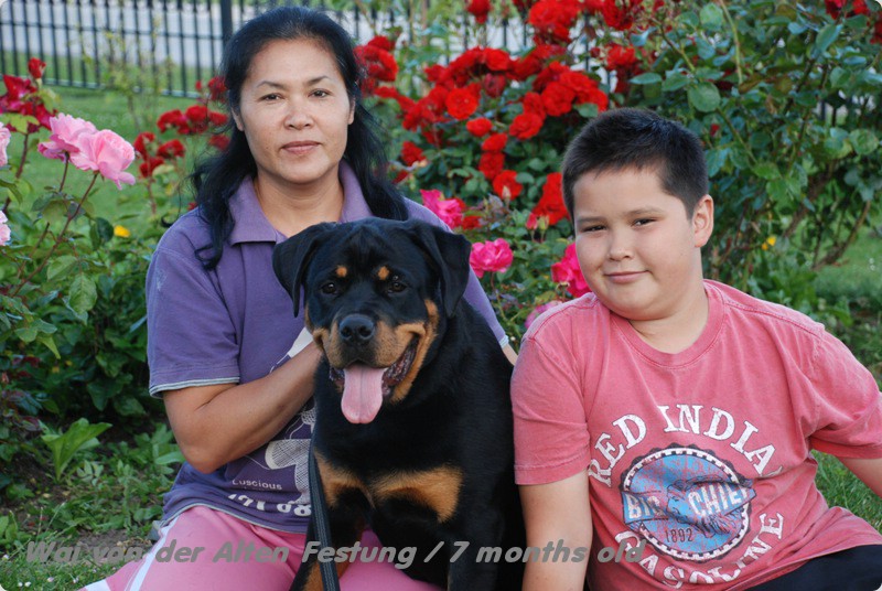 Wai von der Alten Festung Wai von der Alten Festung