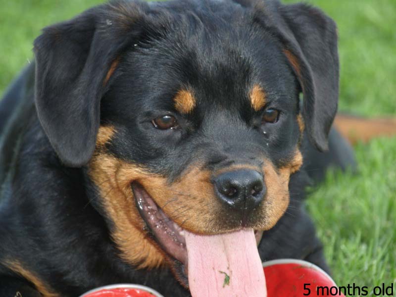 Wilma von der Alten Festung Wilma von der Alten Festung