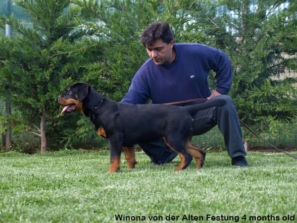 Winona von der Alten Festung Winona von der Alten Festung